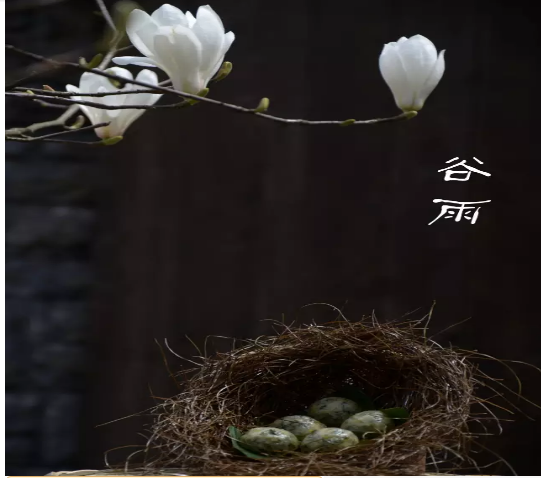 QQ截图20170420104309.png