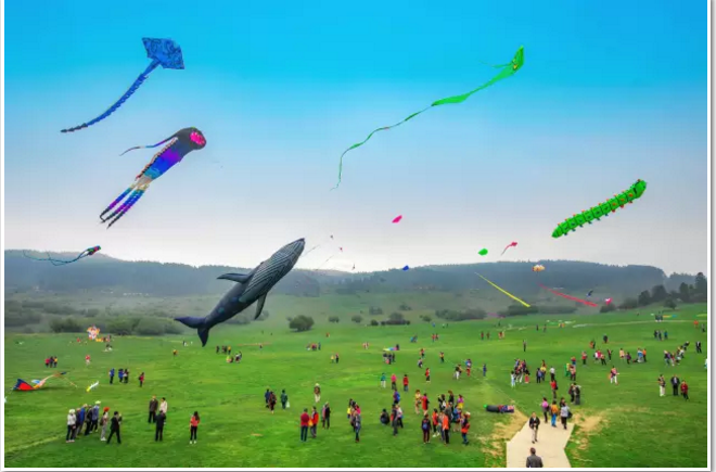 f7370bbb19c574d22725a68ceb918e06dad3ec57.png QQ截图20170424104747.png