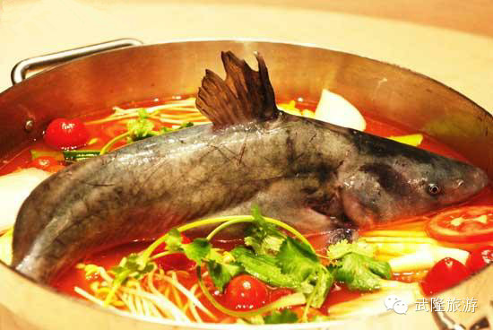 江口鱼.jpg