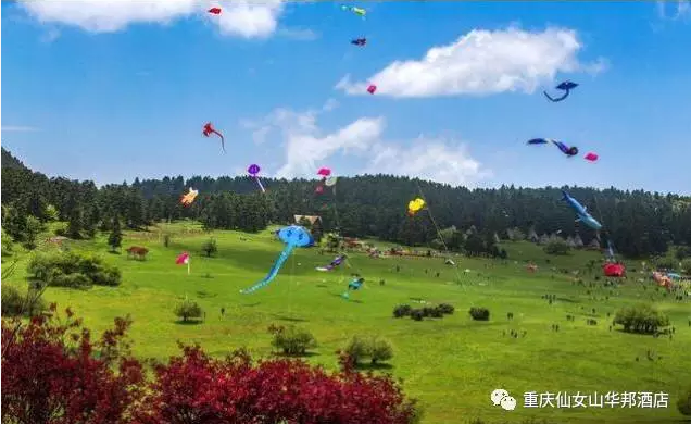 QQ截图20170503100740.png