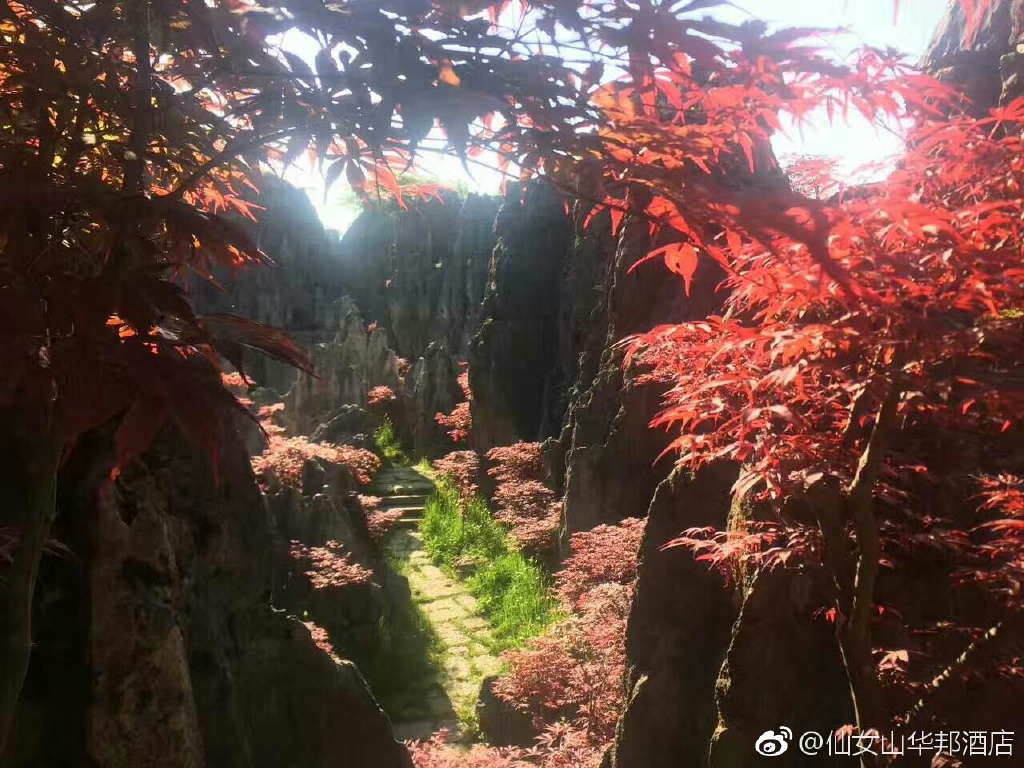 石林2.jpg