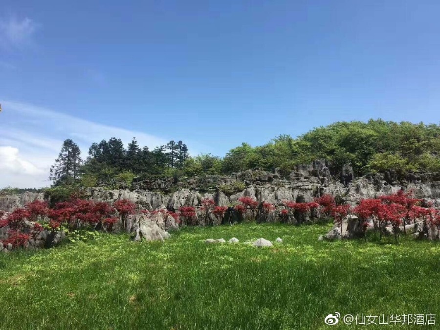 石林4.jpg