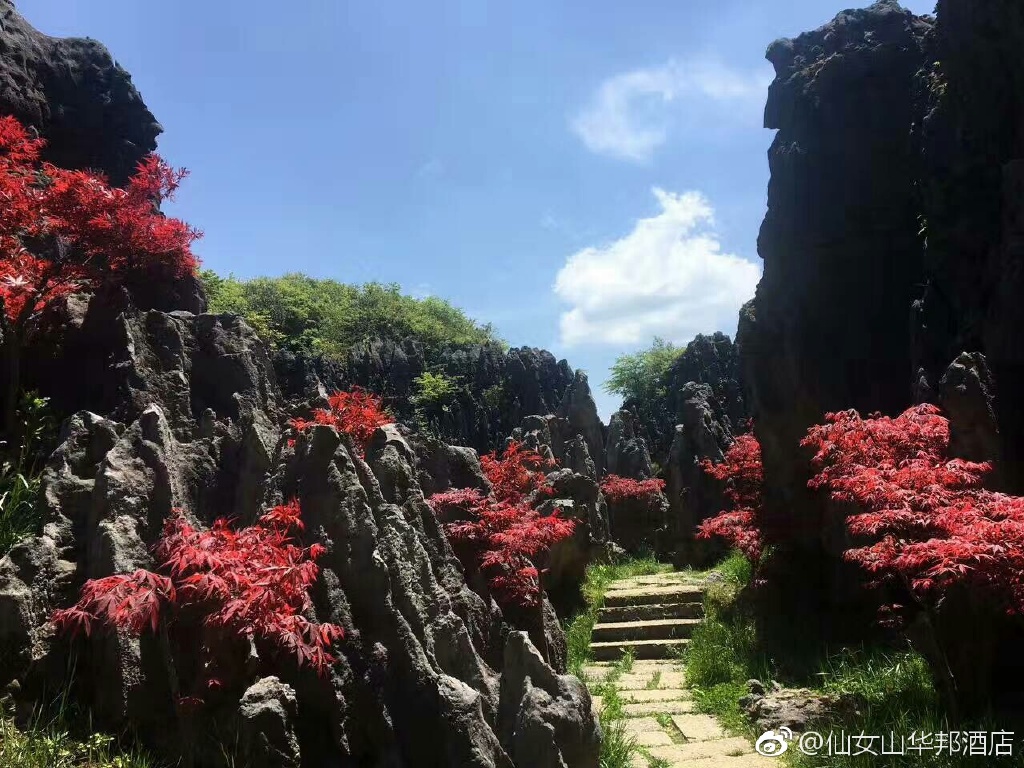 石林5.jpg