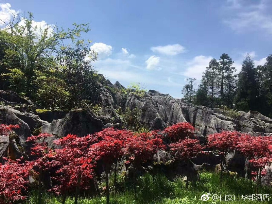 石林3.jpg