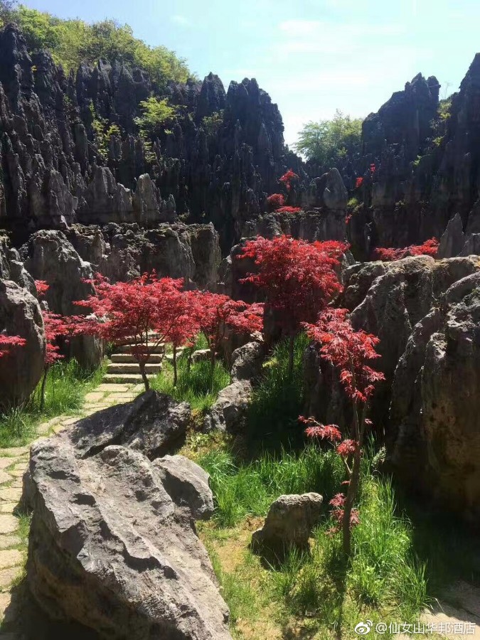 石林7.jpg