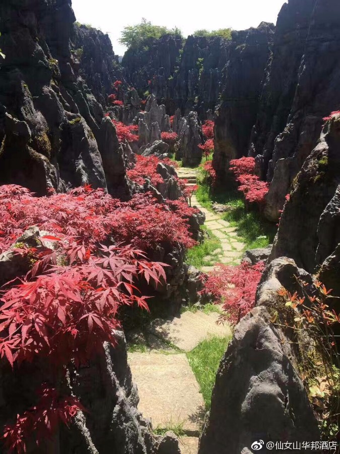 石林6.jpg
