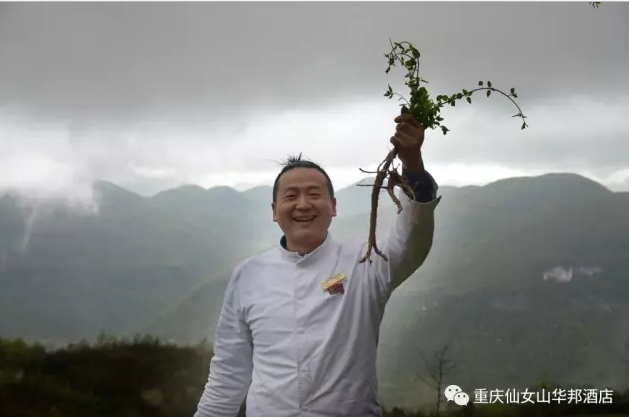 QQ截图20180513171244.png
