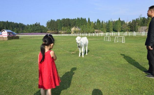 QQ截图20180605155612.png